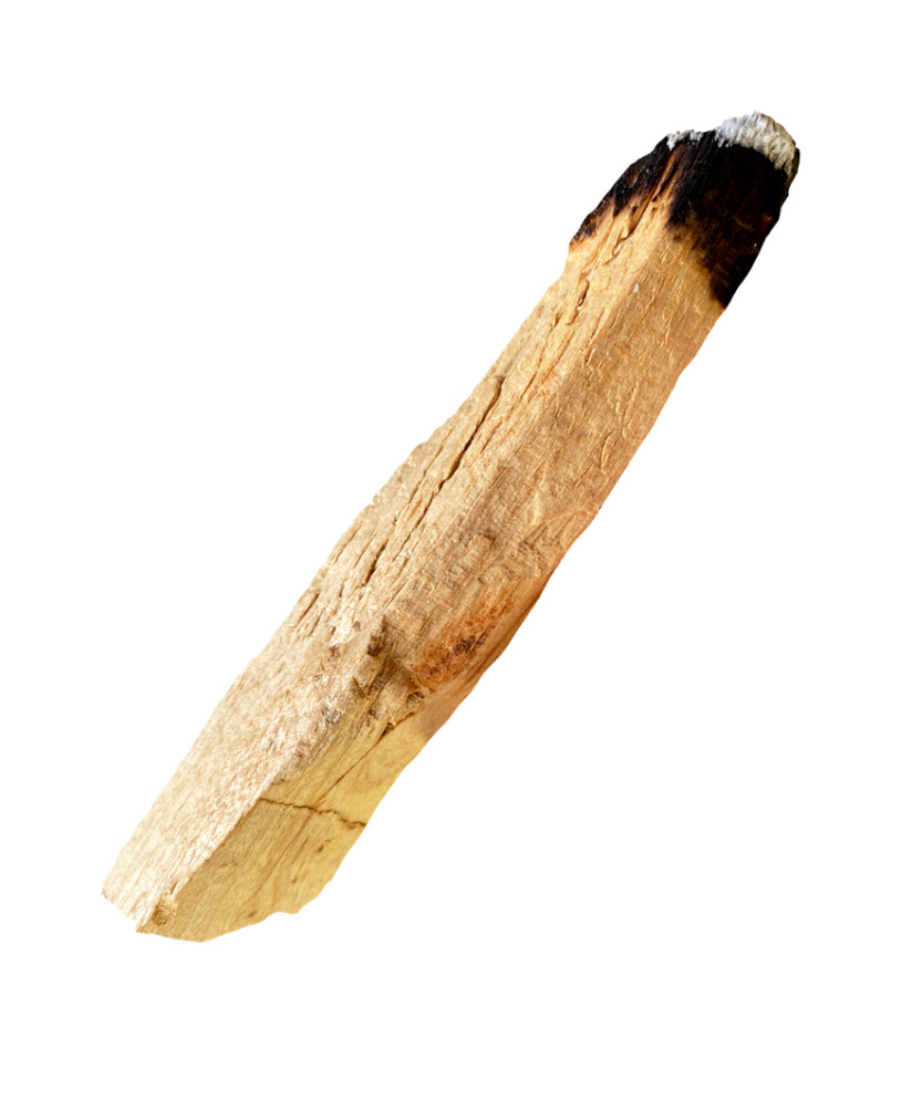 Palo Santo