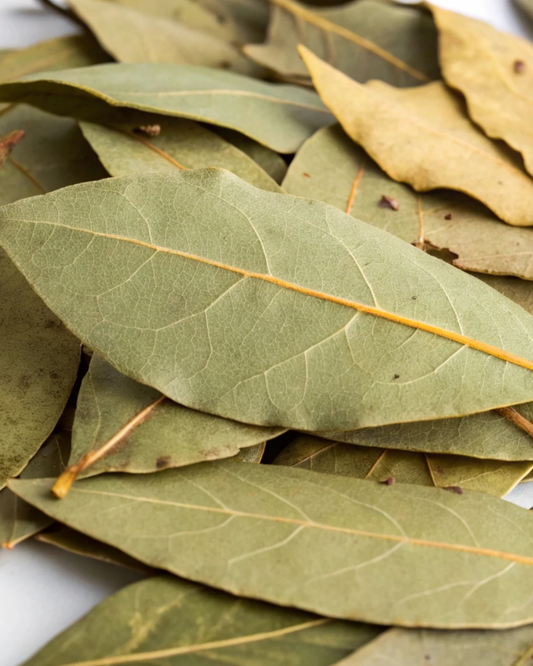 Bay / Laurel Leaf