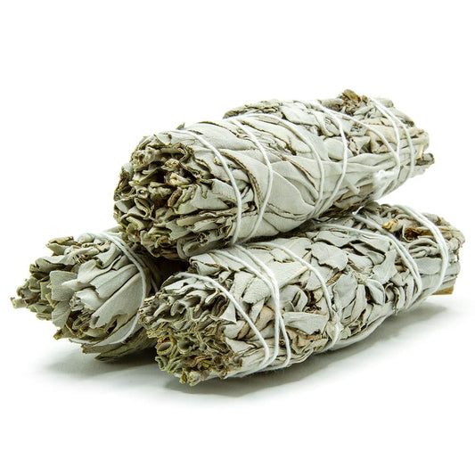 White Sage